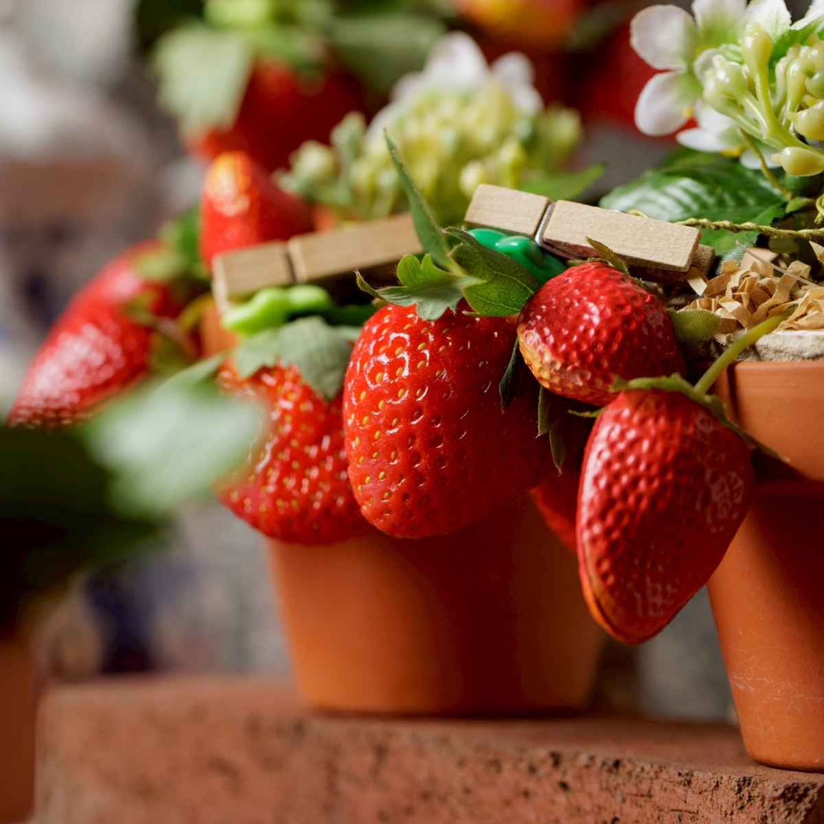 倉敷アフタヌーンティー